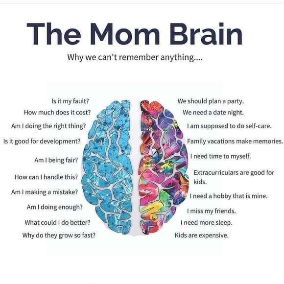 Meet your Posher, Judi - Picture 1 of 1